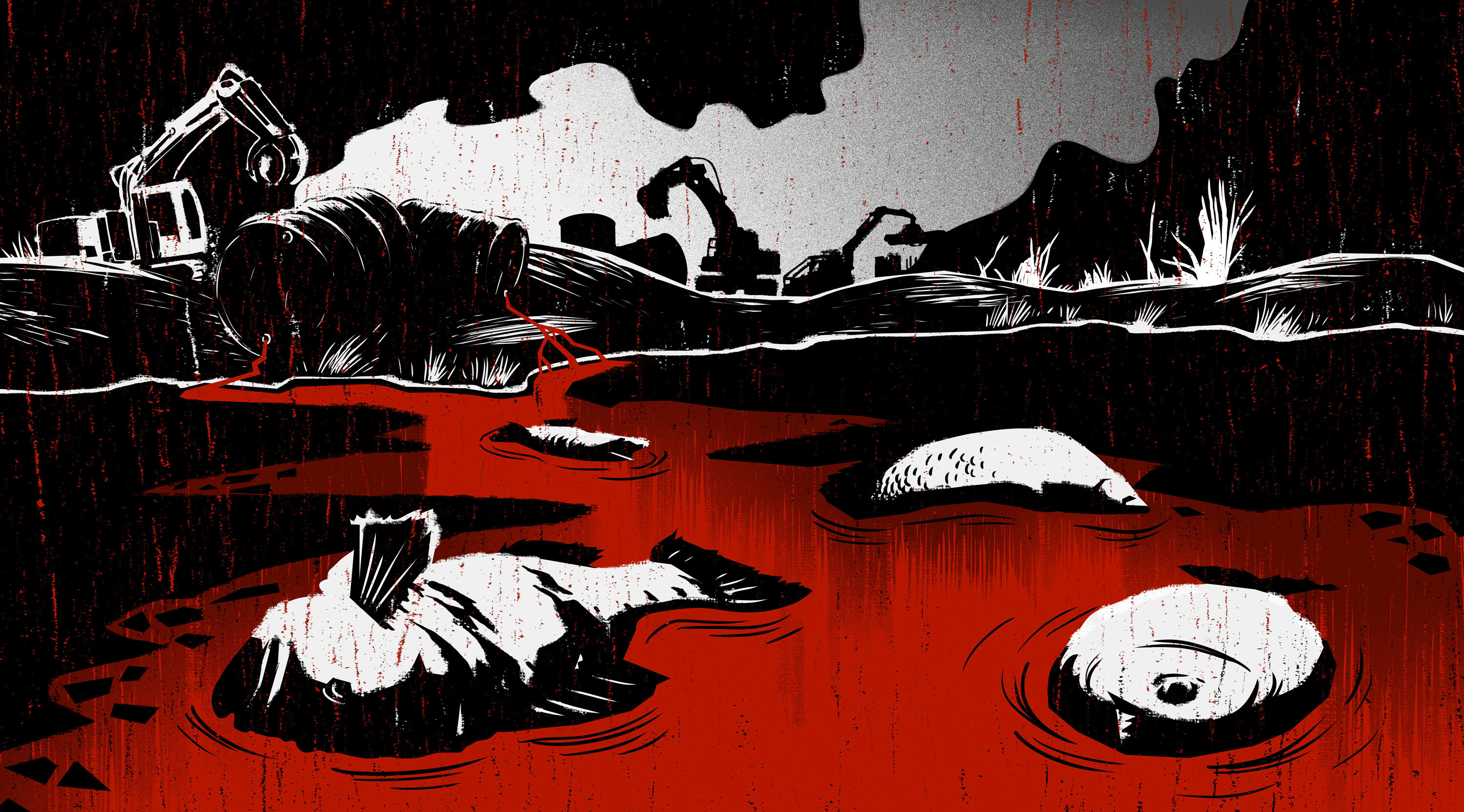 Yanomami - A Horror Story