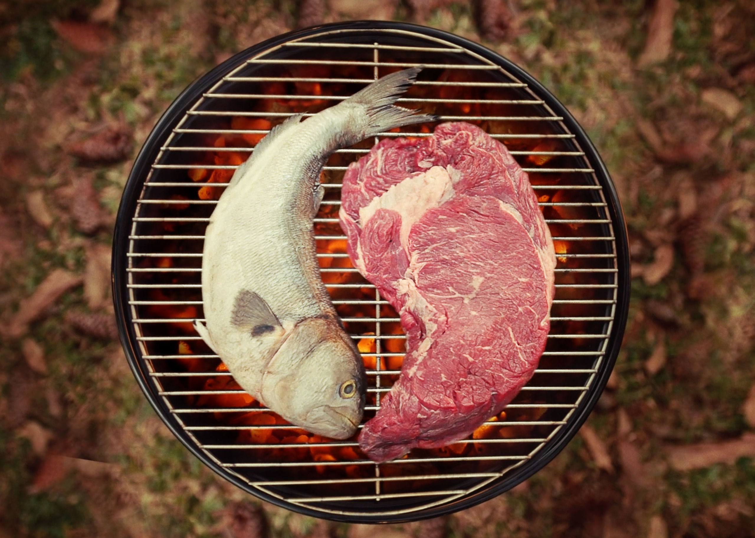 Tramontina - There Is No Wrong BBQ