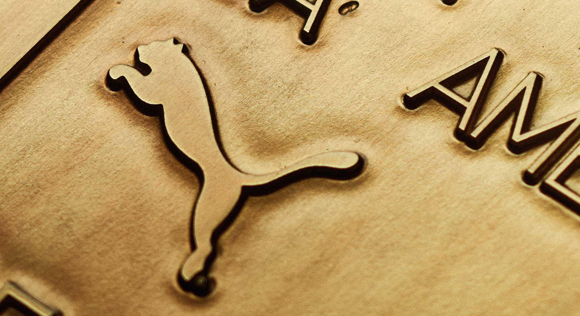 Puma - Palmeiras - Where the Gold Comes From