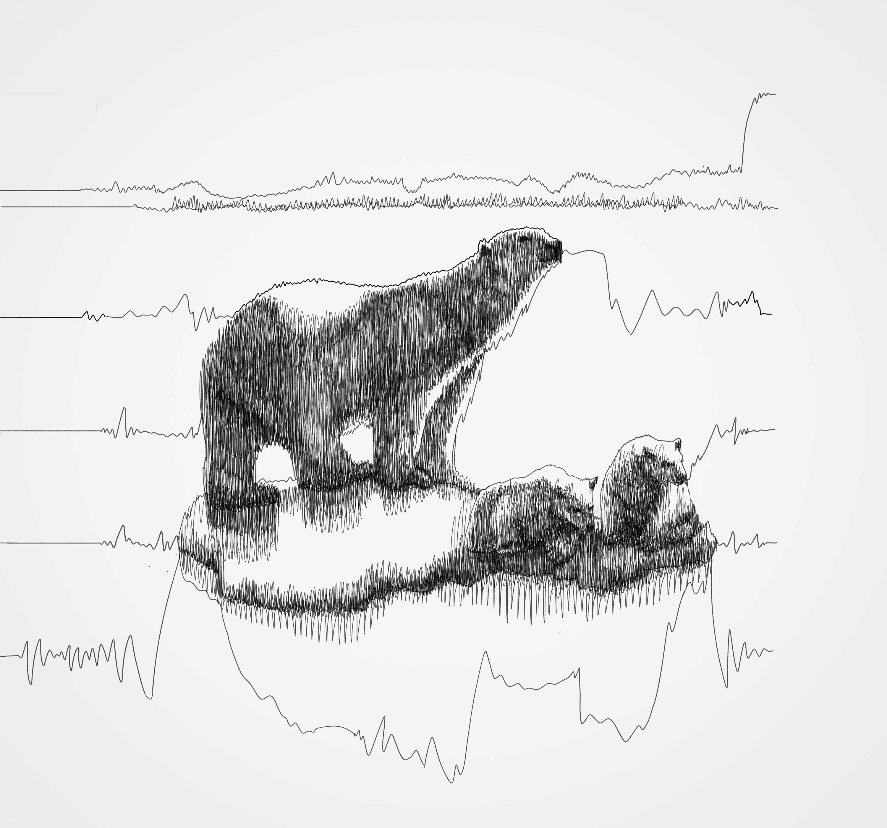 CNN - The Polygraph