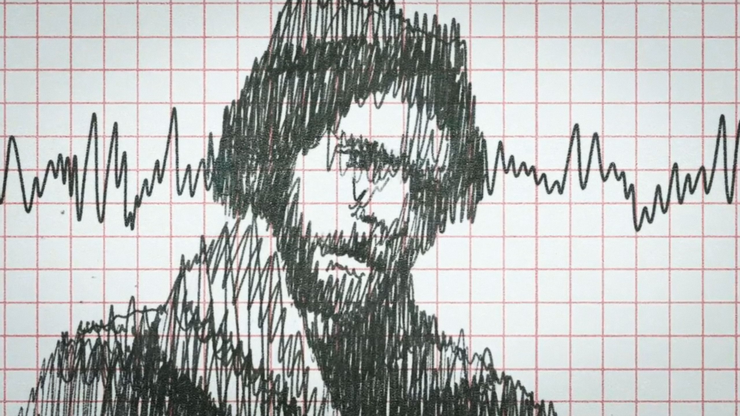CNN - The Polygraph