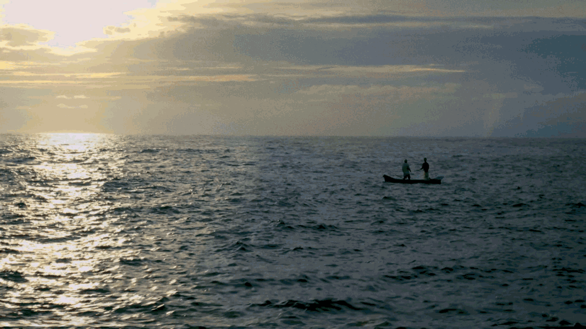 Corona - Fishermen Storytellers