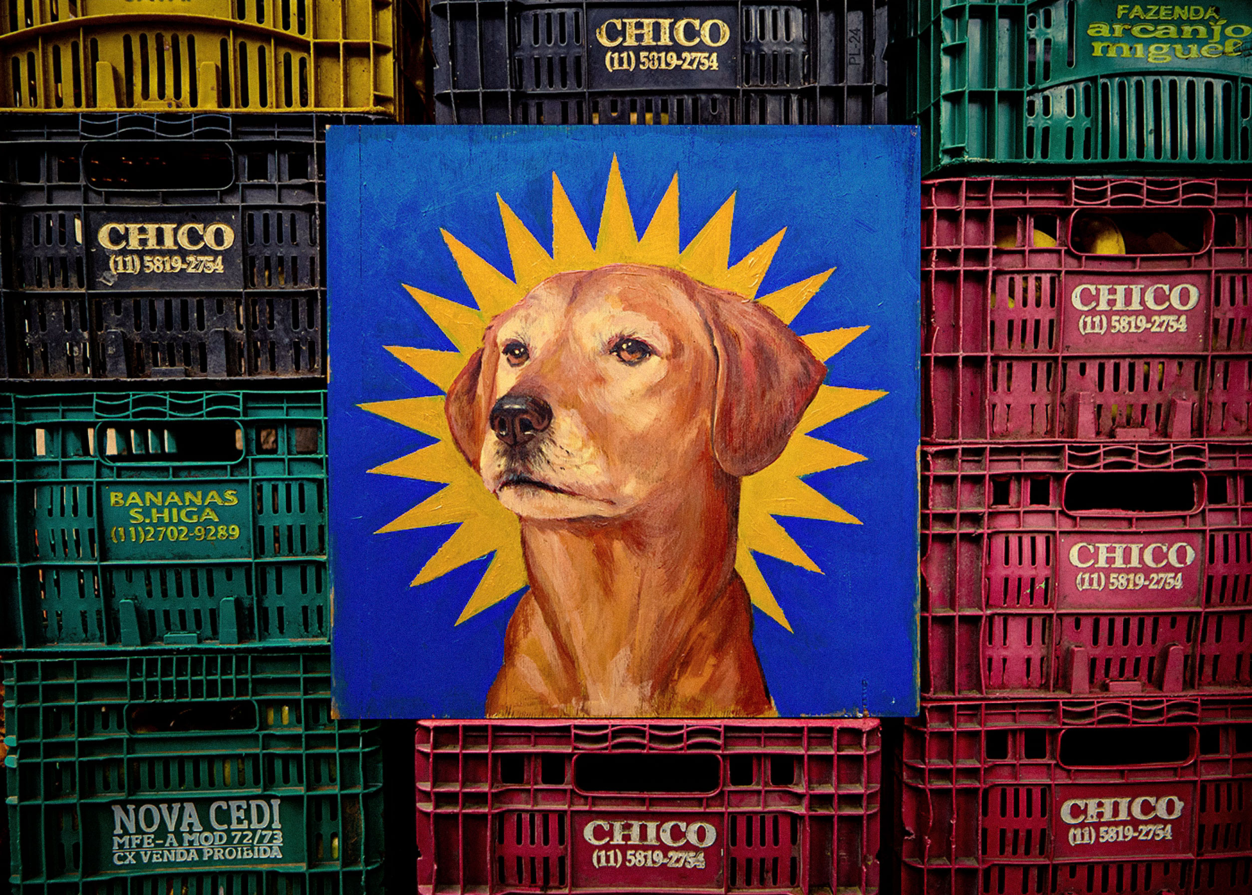Pedigree - Caramelo