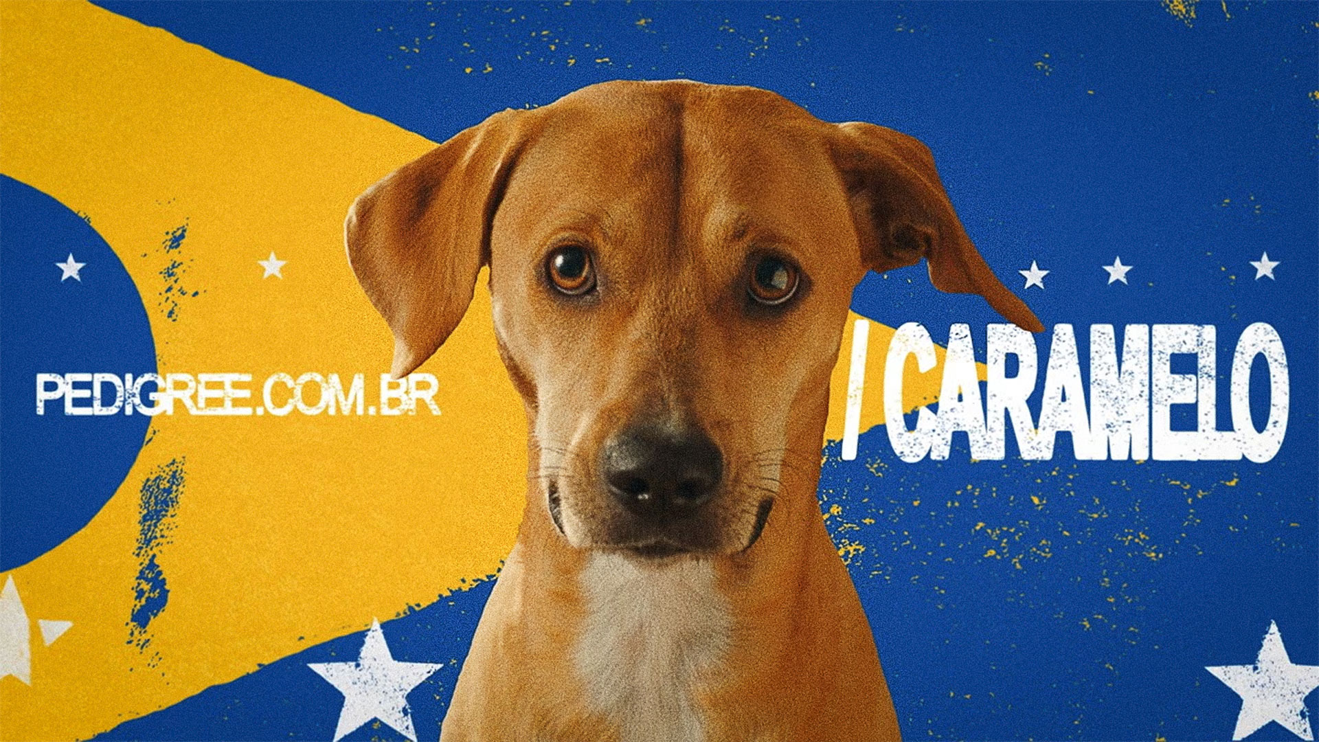 Pedigree - Caramelo