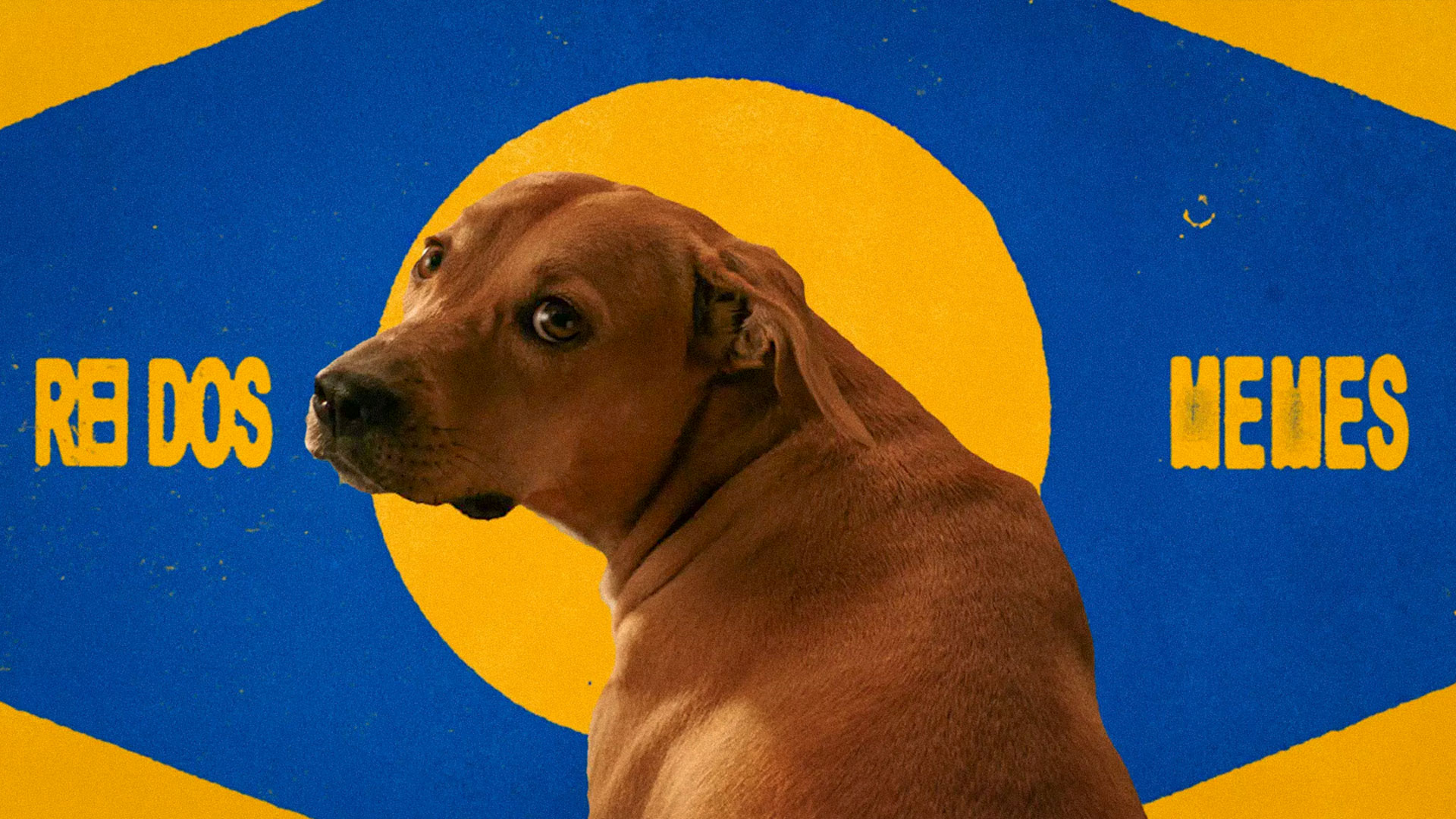 Pedigree - Caramelo