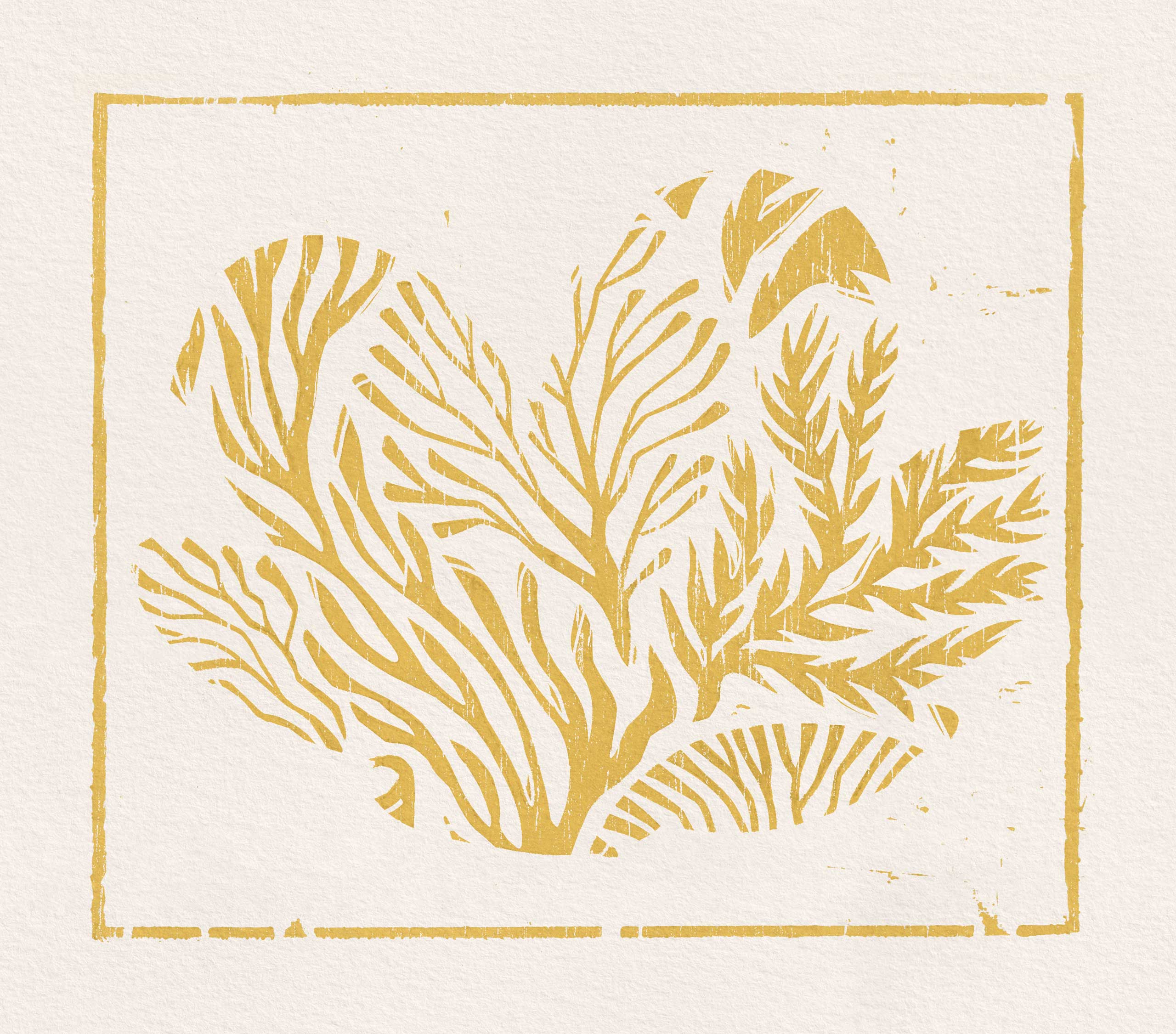 Natura - Regeneration