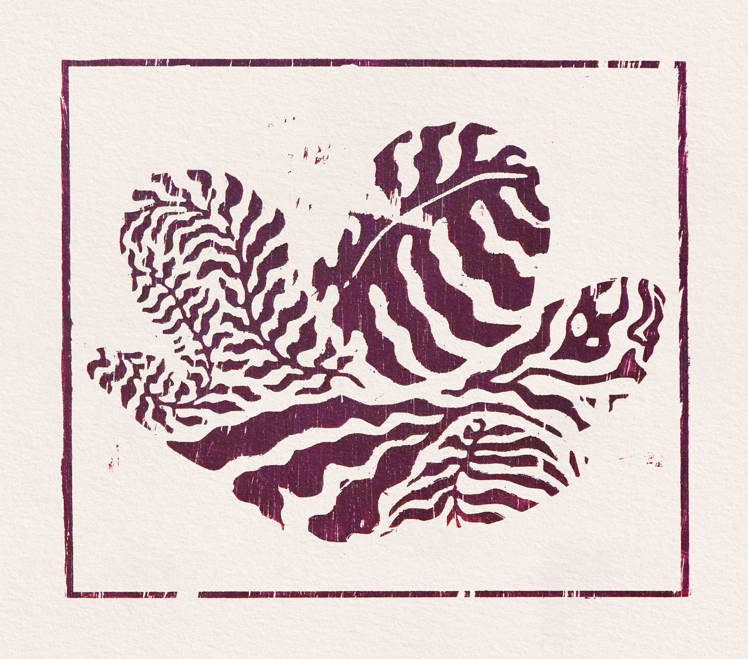 Natura - Regeneration