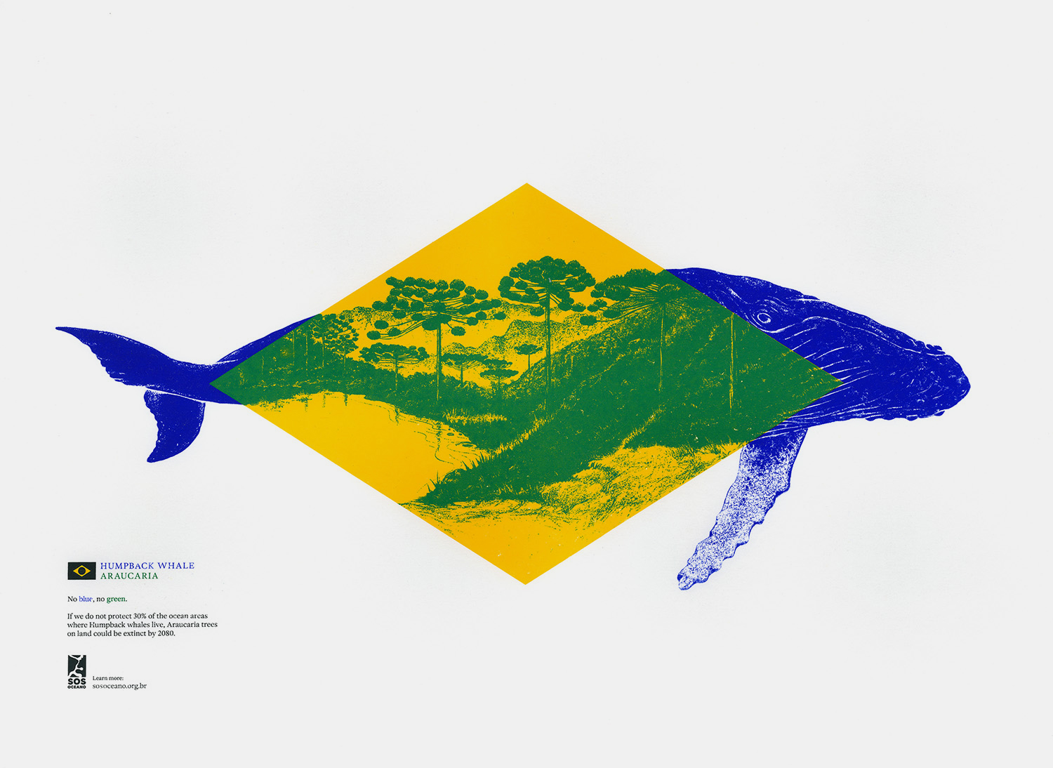 SOS Oceano - No blue, no green